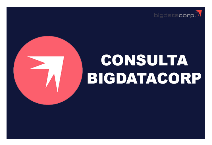 Consulta BIGDATACORP.jpg